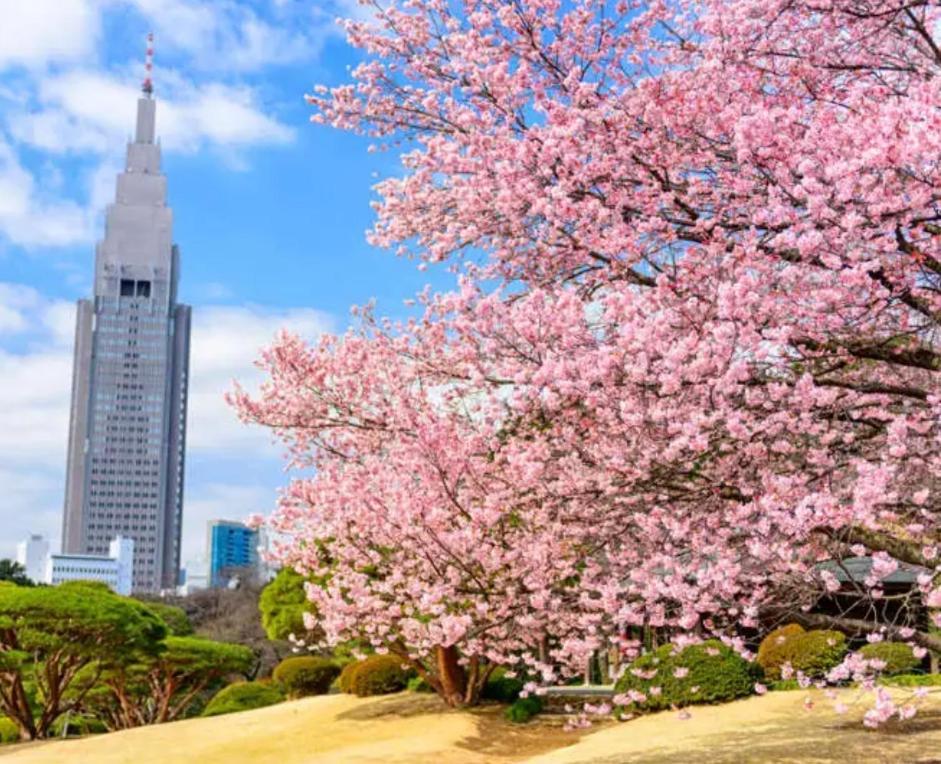 43新宿商圈 新宿御苑旁-shinjuku Area Near Park Appartement